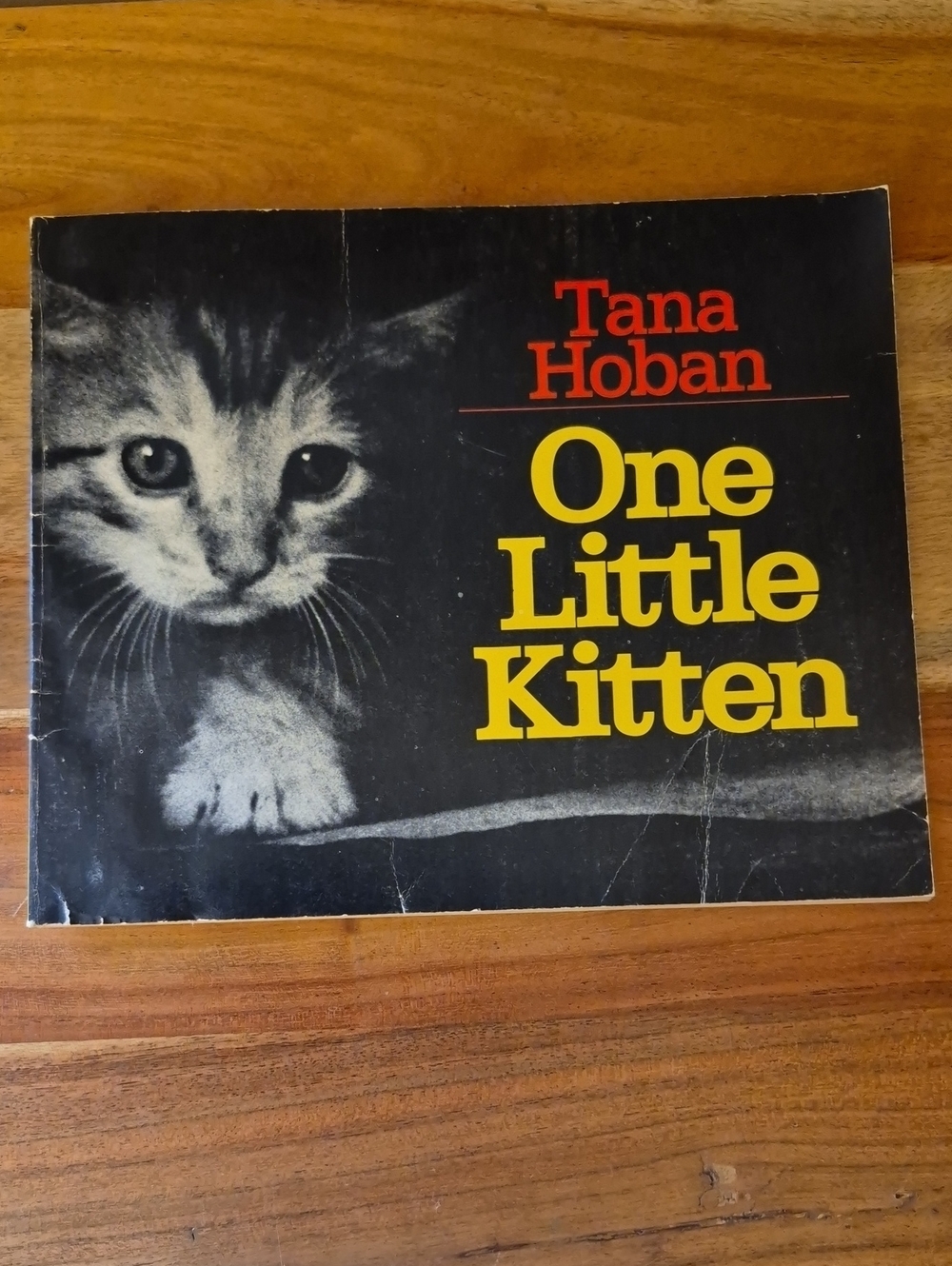 Vintage 1979 One Little Kitten by Tana Hoban Kids Book